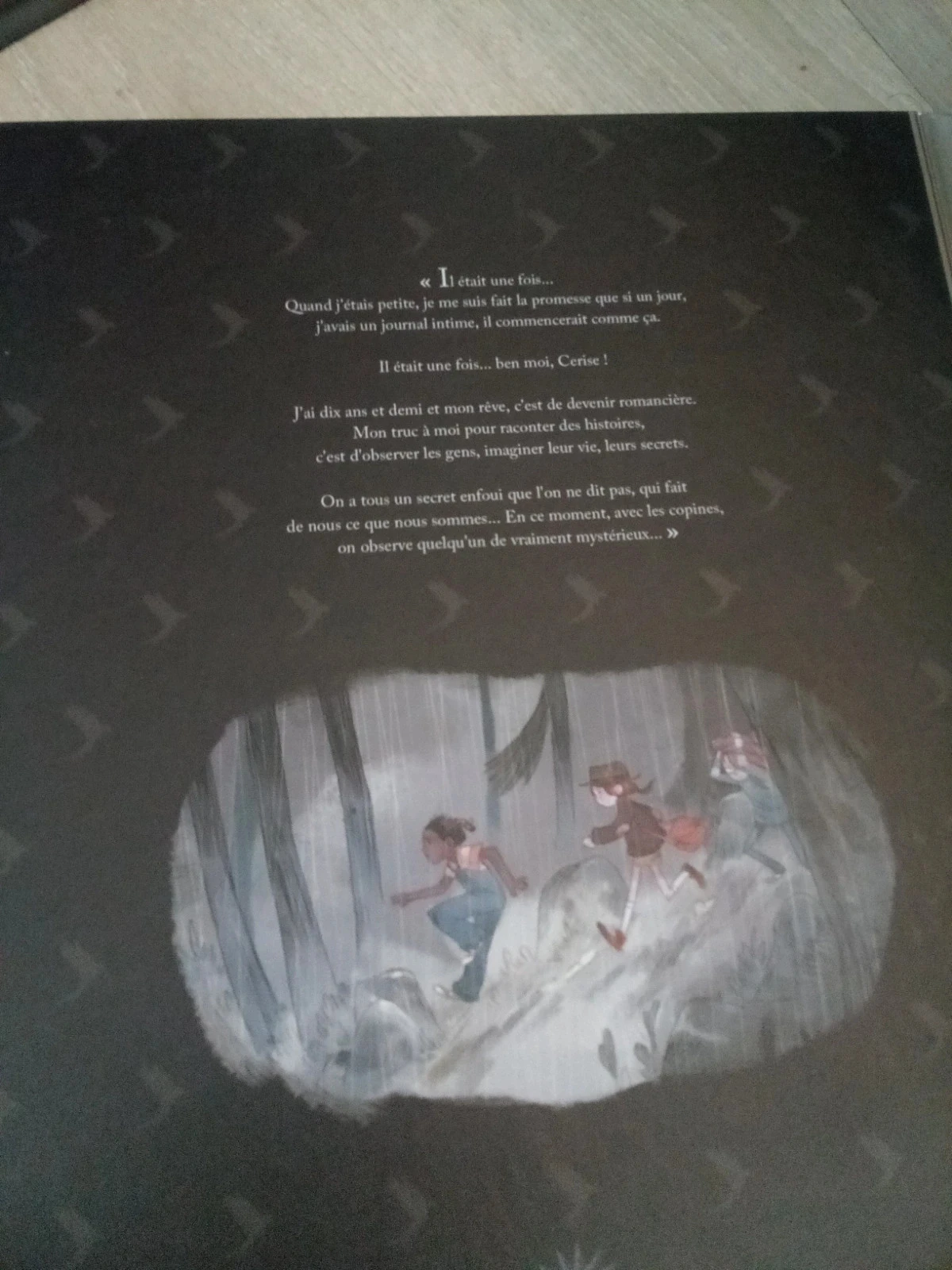 Lot de 4 grandes bd – photo 11